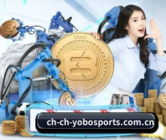 数据报告可视化